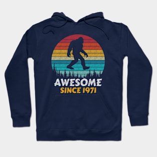 Awesome Since 1971 Hoodie